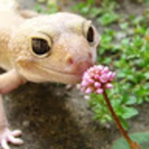 Meet your Posher, Elena